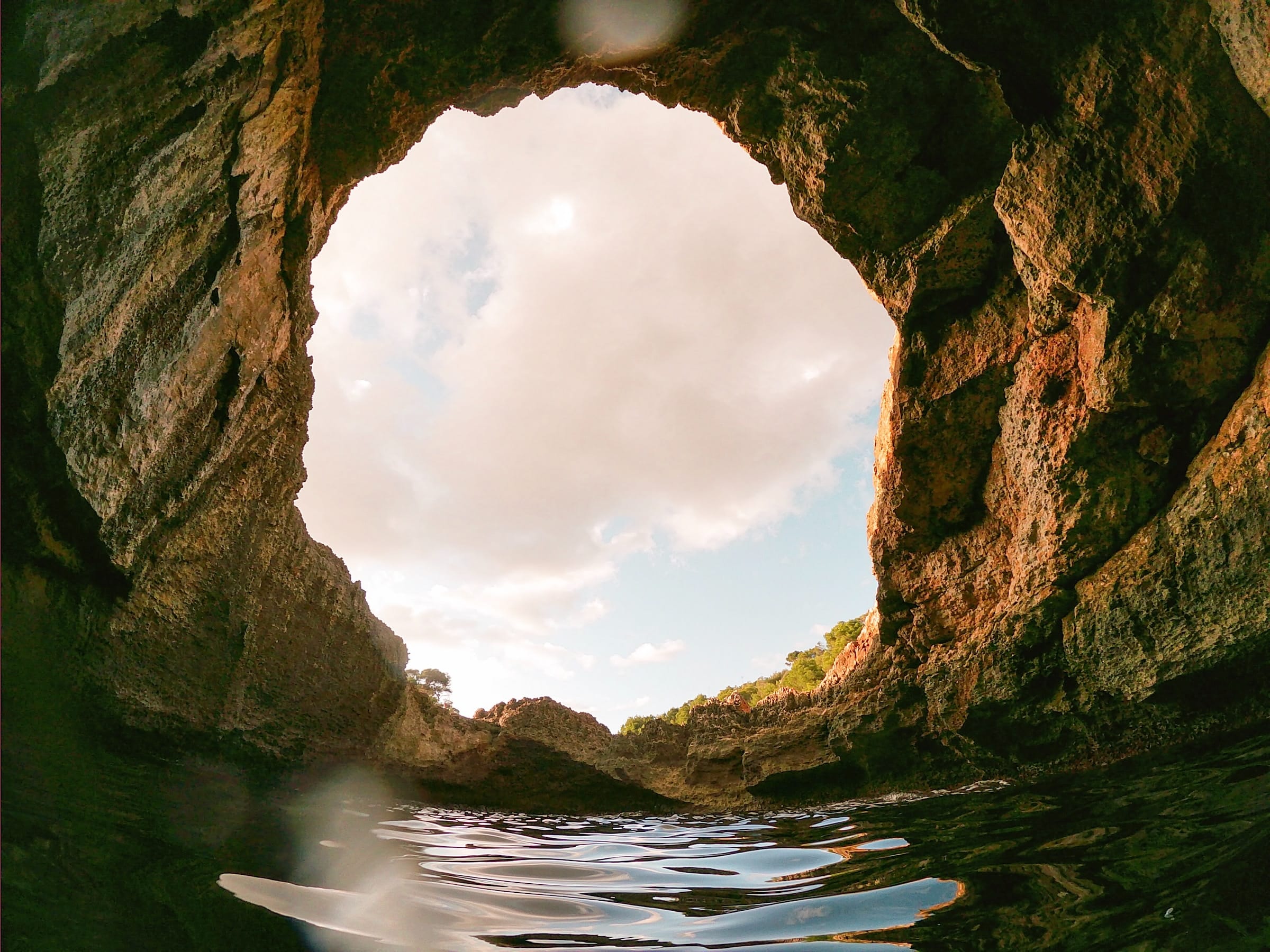 The Holistic Circle webinar series